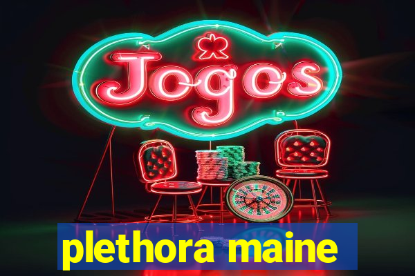plethora maine
